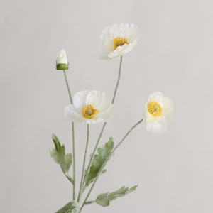 Peut inclure: Un bouquet de fleurs de pavot blanches avec des centres jaunes. Les fleurs sont dispos&eacute;es sur une seule tige avec des feuilles vertes.
