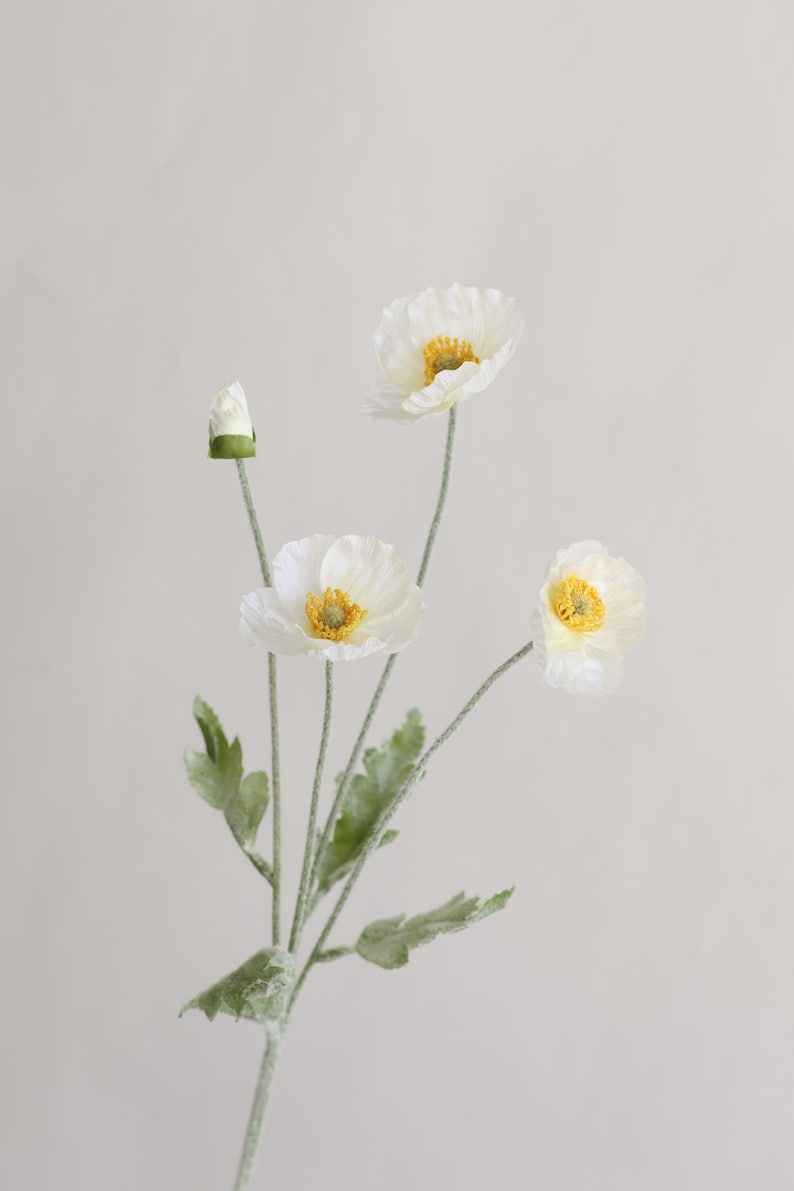 Peut inclure: Un bouquet de fleurs de pavot blanches avec des centres jaunes. Les fleurs sont dispos&eacute;es sur une seule tige avec des feuilles vertes.