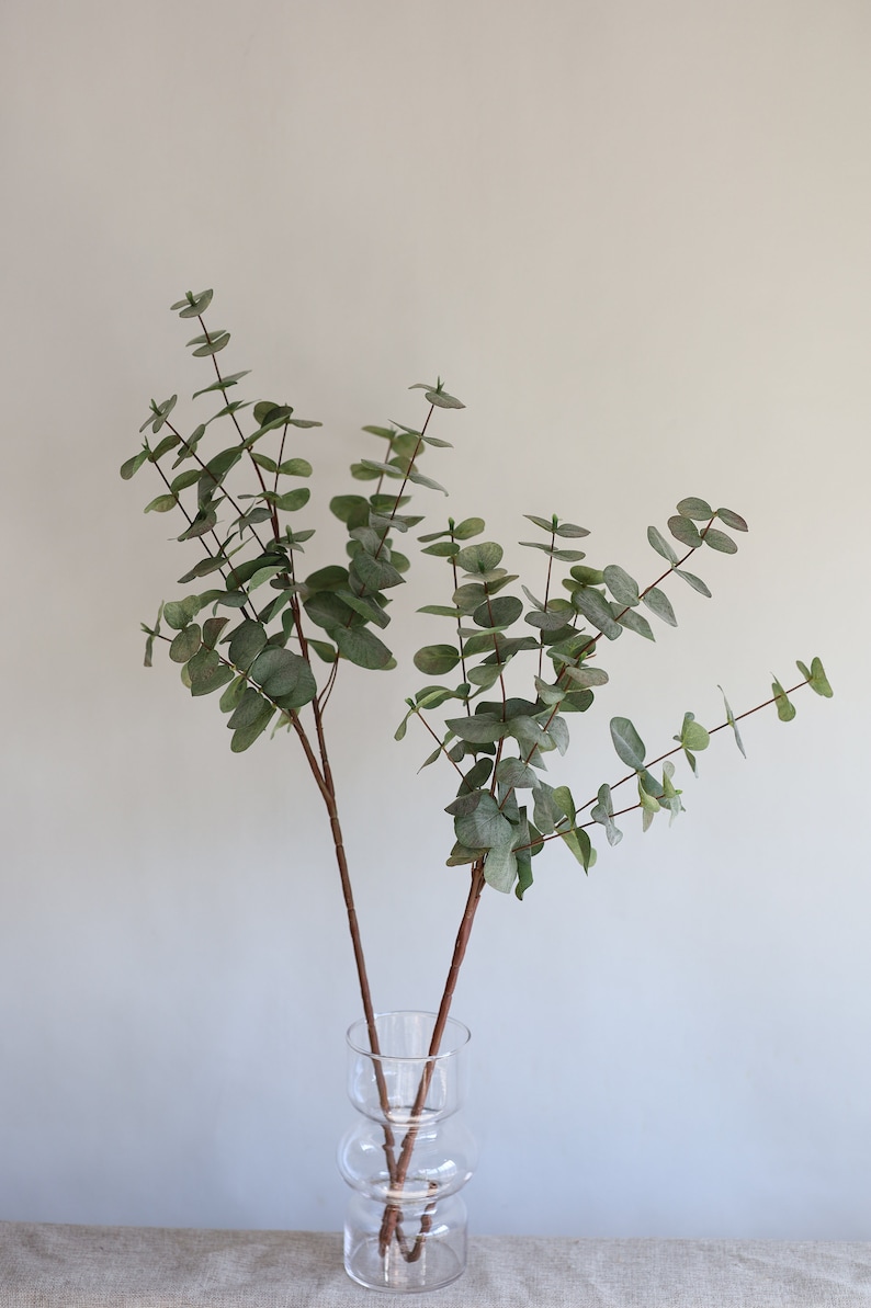 May include: Eucalyptus branches with round, green leaves and brown stems are displayed in a clear, decorative glass vase. The vase has a unique, layered design. The arrangement is set against a neutral background.