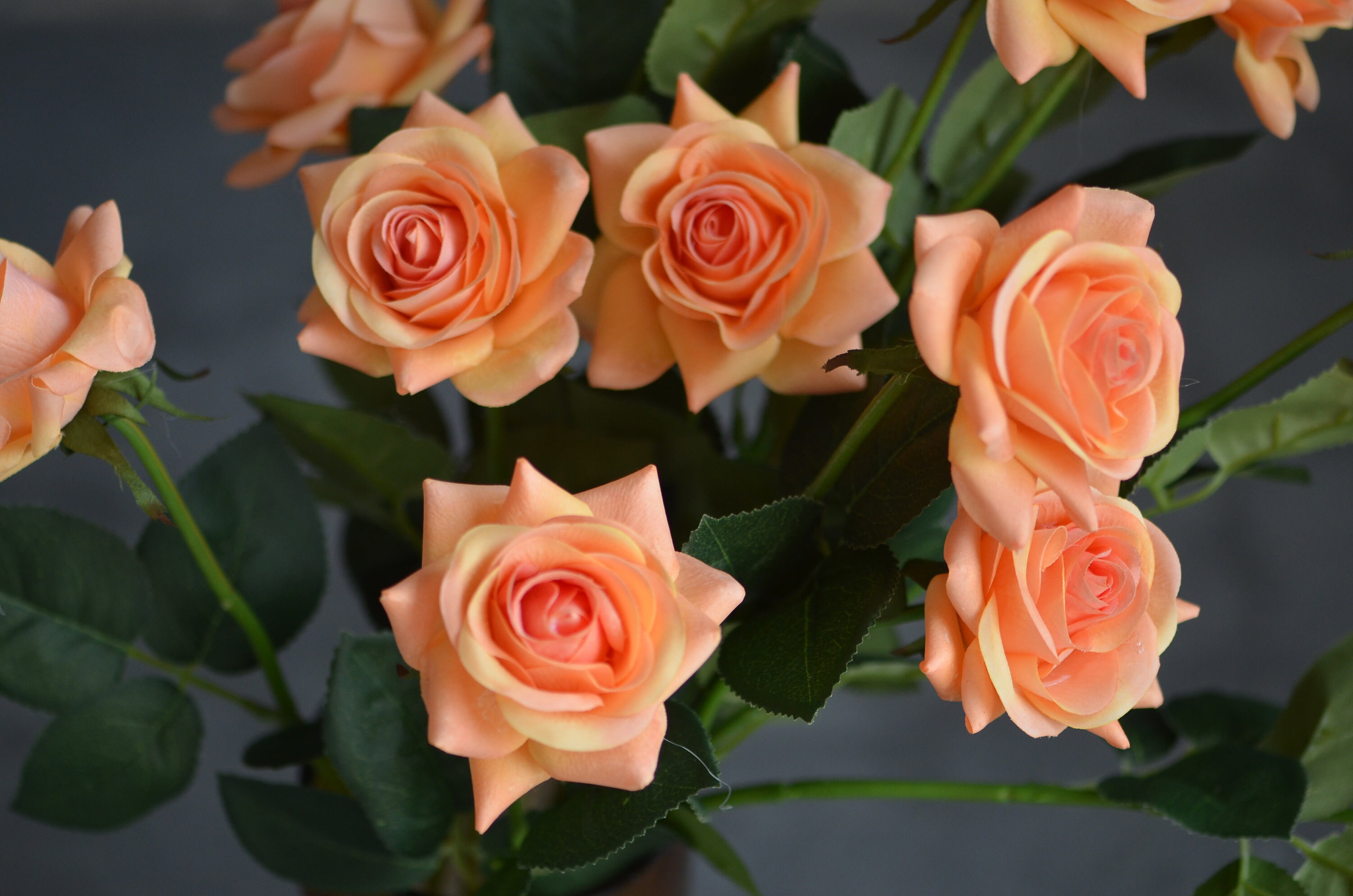 Orange Roses, Real Touch Flowers, Real Touch Roses, Silk Roses, Home ...