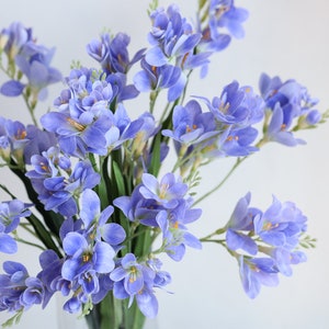 Puede incluir: Un ramo de flores de fresia de color lila claro en un jarr&oacute;n de vidrio transparente. Las flores est&aacute;n dispuestas en un estilo suelto y natural.