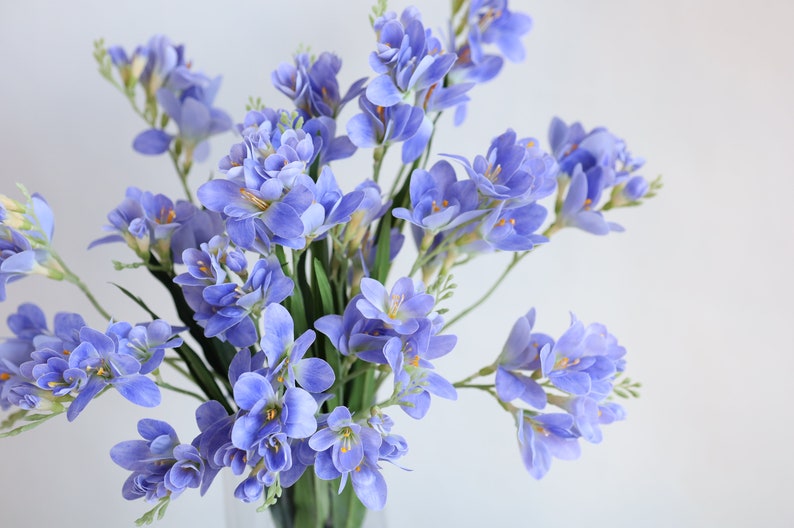 Puede incluir: Un ramo de flores de fresia de color lila claro en un jarr&oacute;n de vidrio transparente. Las flores est&aacute;n dispuestas en un estilo suelto y natural.