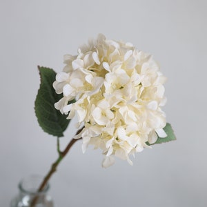 Puede incluir: Un solo tallo de hortensia artificial blanca con hojas verdes. La hortensia est&aacute; en un jarr&oacute;n de vidrio transparente.