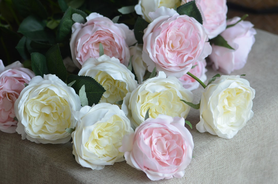 Ivory Real Touch Flowers, Cabbage Roses, Real Looking Roses, Real Touch ...