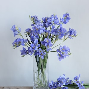 Puede incluir: Un ramo de flores de fresia moradas en un jarr&oacute;n de vidrio transparente. Las flores est&aacute;n dispuestas en un estilo suelto y natural.