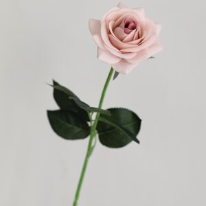 Puede incluir: Una sola rosa artificial de color rosa claro con hojas verdes y un tallo largo.