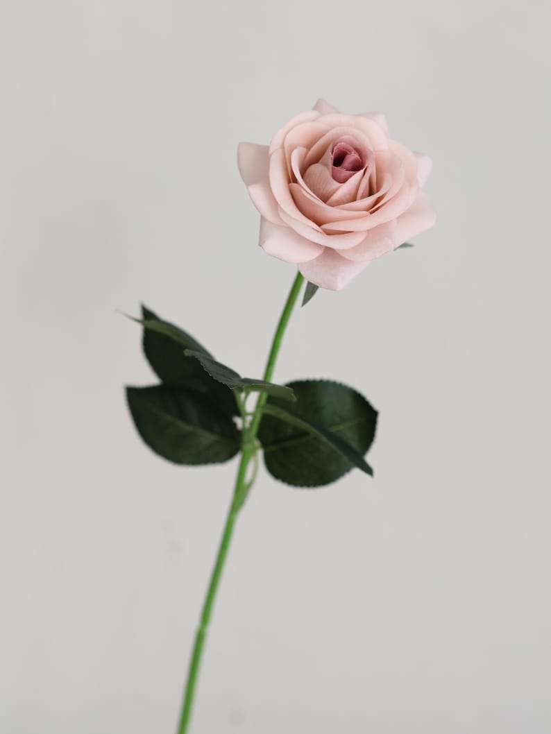 Puede incluir: Una sola rosa artificial de color rosa claro con hojas verdes y un tallo largo.