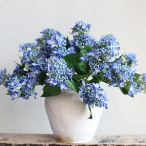 May include: A bouquet of blue hydrangea flowers in a white ceramic vase. The flowers are arranged in a loose, natural style.