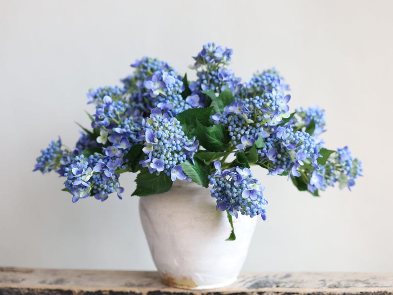 May include: A bouquet of blue hydrangea flowers in a white ceramic vase. The flowers are arranged in a loose, natural style.