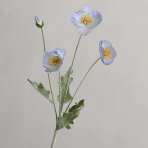 Puede incluir: Un ramo de tres flores de amapola azul claro con centros amarillos. Las flores est&aacute;n en un solo tallo con hojas verdes.