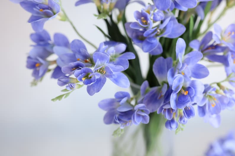 Puede incluir: Un ramo de flores de freesia moradas con centros amarillos en un jarr&oacute;n de vidrio transparente.