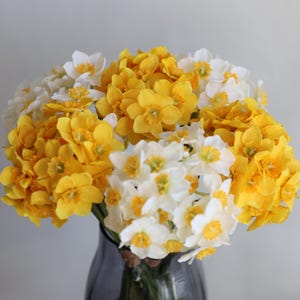 Peut inclure: Un bouquet de jonquilles jaunes et blanches dans un vase en verre transparent. Les fleurs sont dispos&eacute;es en grappe et ont un aspect d&eacute;licat et printanier.