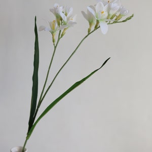 May include: A single stem of white freesia flowers with green leaves in a white vase. The flowers are arranged in a simple, elegant design.