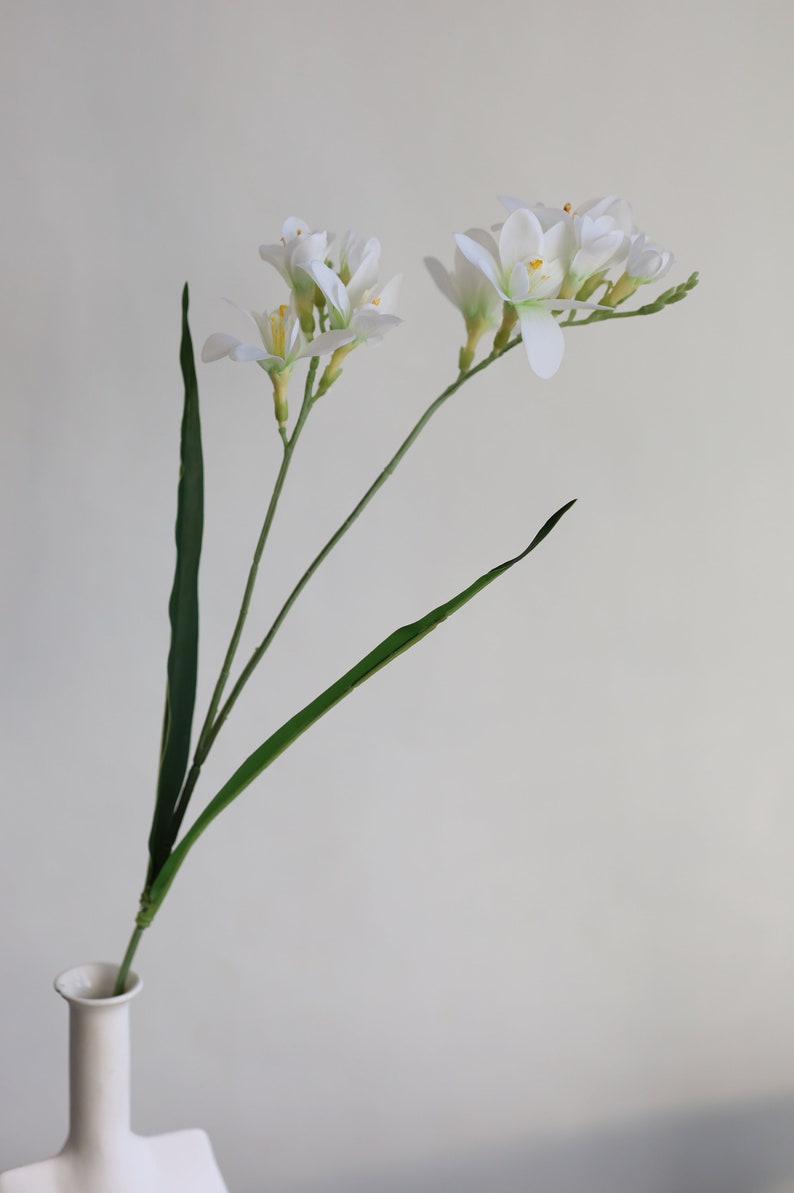 May include: A single stem of white freesia flowers with green leaves in a white vase. The flowers are arranged in a simple, elegant design.