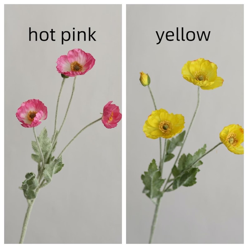 Peut inclure: Deux tiges de fleurs de pavot artificielles, l'une avec des fleurs rose vif et l'autre avec des fleurs jaunes. Les deux tiges ont des feuilles vertes.