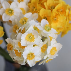 Peut inclure: Un bouquet de jonquilles jaunes et blanches. Les fleurs sont dispos&eacute;es dans un vase et sont en pleine floraison.