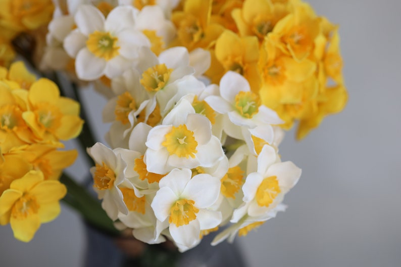 Peut inclure: Un bouquet de jonquilles jaunes et blanches. Les fleurs sont dispos&eacute;es dans un vase et sont en pleine floraison.
