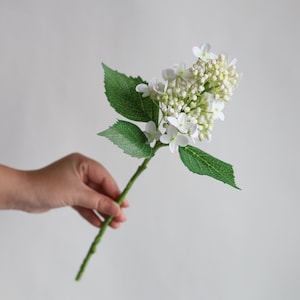 May include: A single stem of white artificial hydrangea with green leaves. The flowers are clustered together and have a delicate, realistic appearance.