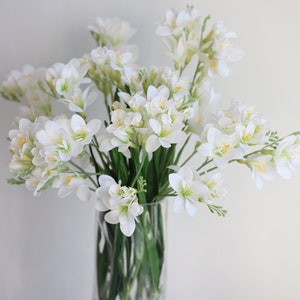 May include: A bouquet of white freesia flowers with yellow centers arranged in a clear glass vase. The flowers are in full bloom and have a delicate, sweet fragrance.