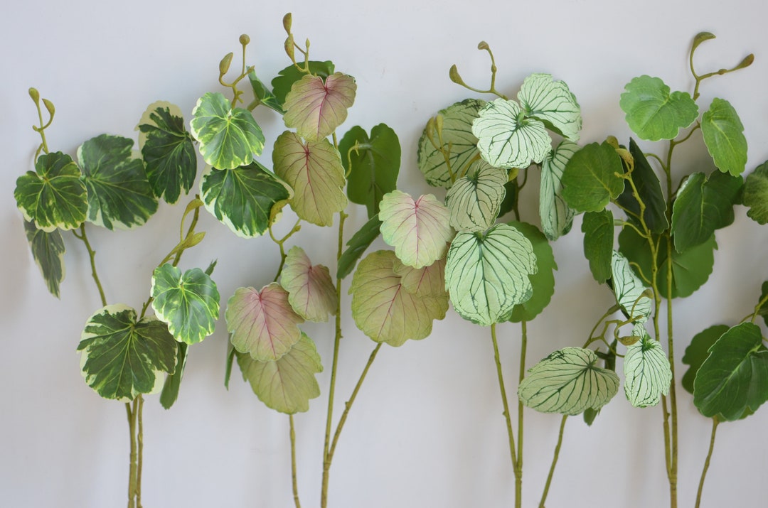 5 Color Realistic Faux Plant Faux Green Plant Faux Plant Etsy