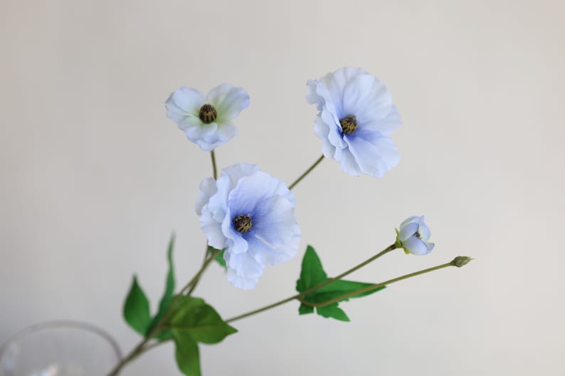 Blue Ranculus 19“ Ranunculus Butterfly, Dusty Blue Flowers, Butterfly Ranunculus ...