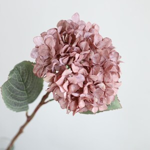 Puede incluir: Un solo tallo de hortensia artificial con una gran cabeza de flor redonda de color rosa polvoriento y dos hojas verdes.