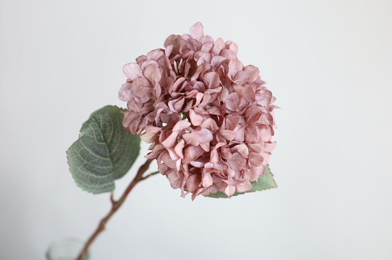 Puede incluir: Un solo tallo de hortensia artificial con una gran cabeza de flor redonda de color rosa polvoriento y dos hojas verdes.