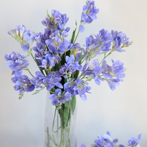 Puede incluir: Un ramo de flores de fresia moradas en un jarr&oacute;n de vidrio transparente. Las flores est&aacute;n dispuestas en un estilo suelto y natural.