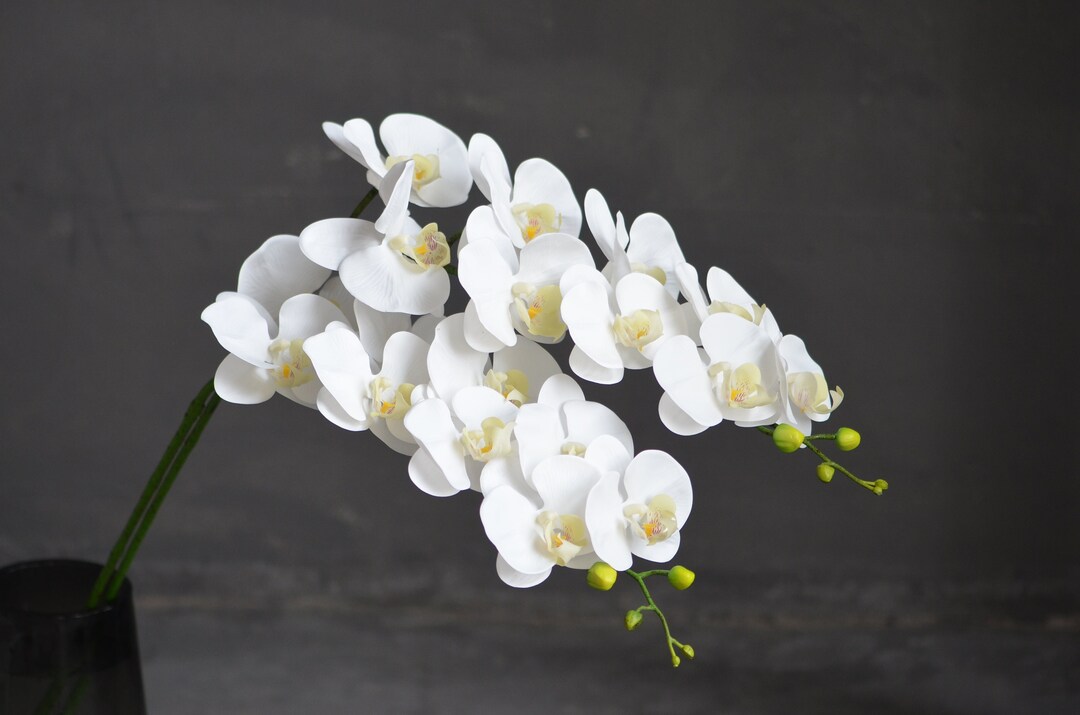 Real Touch Orchid, Silk Orchids, White Orchids, Artificial Orchid, Real