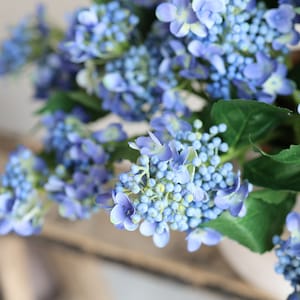 May include: A bouquet of blue hydrangea flowers with green leaves. The flowers are in focus and the leaves are out of focus.