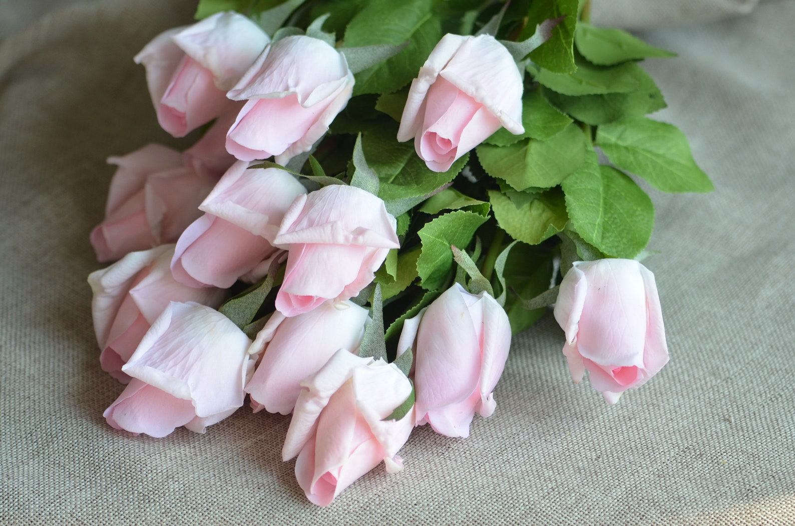 11 Colors! Real Touch Flowers, White Roses, Real Looking Roses, Real ...