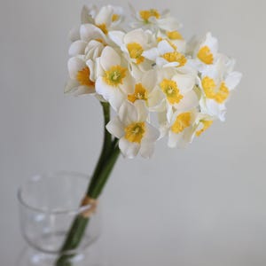 Peut inclure: Un bouquet de jonquilles blanches avec des centres jaunes dispos&eacute; dans un vase en verre transparent. Le vase a une forme ronde et bulbeuse.