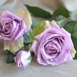3 Heads Real Touch Roses, White Roses, Blush Garden Roses, Pale Pink Roses, Mauve Lavender Rose, Real Touch Roses, Realistic flowe011