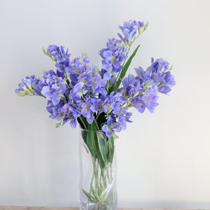 Puede incluir: Un ramo de flores de fresia moradas en un jarr&oacute;n de vidrio transparente. Las flores est&aacute;n dispuestas en un estilo suelto y natural.