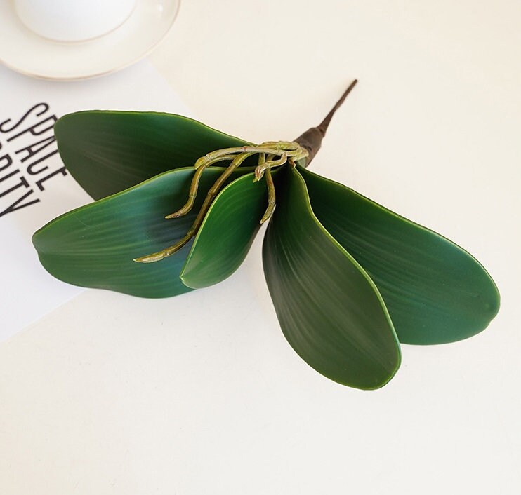 Orchid Leaves Real Touch Orchid Leaves Artificial Orchid Etsy UK