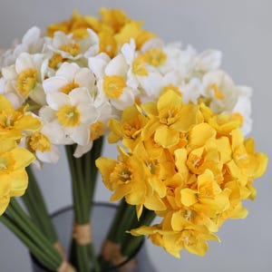 Peut inclure: Un bouquet de jonquilles jaunes et blanches. Les fleurs sont dispos&eacute;es dans un vase et ont de longues tiges vertes.