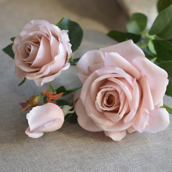 3 Heads Morandi Pink Roses, White Roses, Blush Garden Roses, Pale Pink Roses, Beige Blush Rose, Real Touch Roses, Realistic flower3062