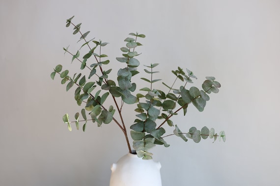 31.5" Fake Eucalyptus, Fake Plants, Fake Greenery, Faux Eucalyptus, Faux Greenery, Faux Branches, Home Decor/Greenery Stems/Gift