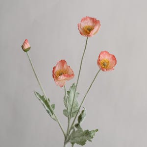 Peut inclure: Une seule tige de fleurs artificielles avec trois fleurs de pavot roses et un bouton. La tige a des feuilles vertes avec une texture duveteuse.