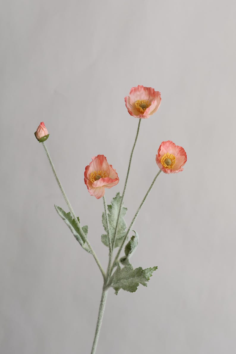 Peut inclure: Une seule tige de fleurs artificielles avec trois fleurs de pavot roses et un bouton. La tige a des feuilles vertes avec une texture duveteuse.