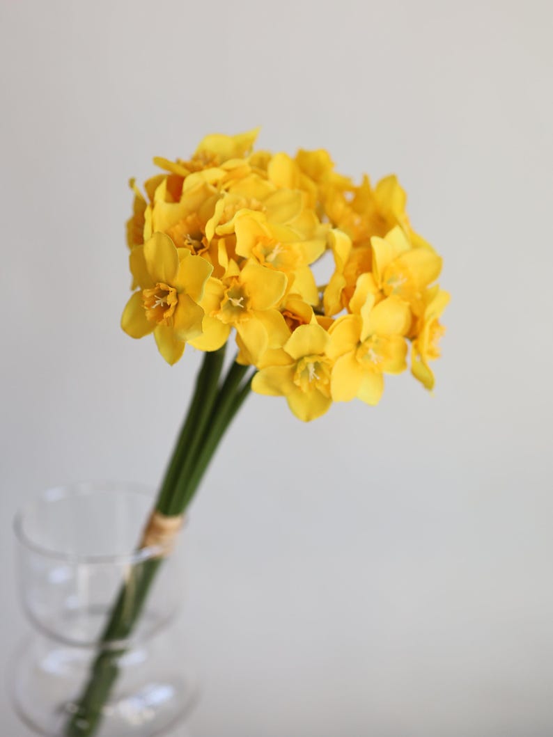 Peut inclure: Un bouquet de jonquilles jaunes dans un vase en verre transparent. Les jonquilles sont dispos&eacute;es en cercle et ont de longues tiges vertes.