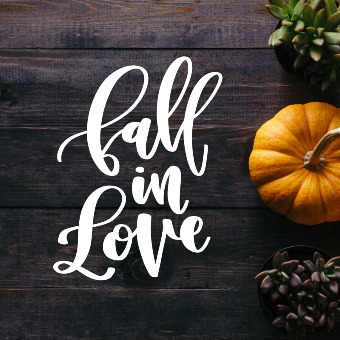 Free Free 290 Fall In Love Svg SVG PNG EPS DXF File
