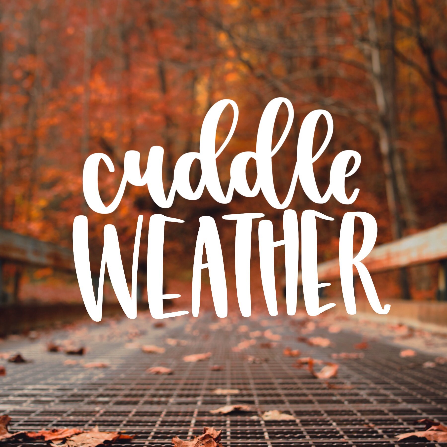 Cuddle Weather SVG Cut File Bundle Cuddle Weather Etsy