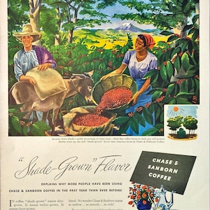 May include: Vintage advertisement for Chase & Sanborn Coffee. The image depicts coffee bean harvesting with workers, a donkey, and a basket of red coffee beans. Text reads "Shade-Grown Flavor" and "Chase & Sanborn Coffee."
