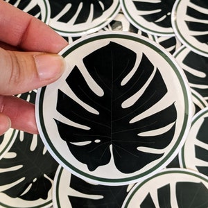 Monstera Blatt wasserdichte Kreis Aufkleber | Pflanze Aufkleber | Hydro-Flasche-Aufkleber | Runde Top Aufkleber | Wasserflasche Deck | Monstera Deliciosa