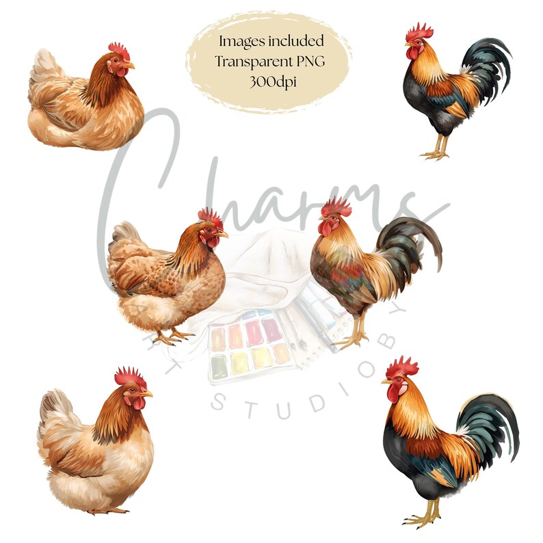 Rustic Chicken Vector Rustic Chicken Clipart Set: Farmhouse PNG Transparent Images (digital ...