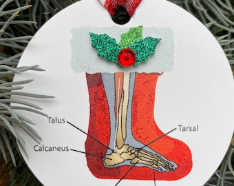 Regalo para podólogos / Adorno de anatomía del pie decorado a mano