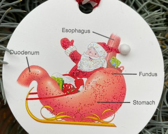 Adorno de estómago de Papá Noel – Regalo para gastroenterólogos, decoración navideña médica