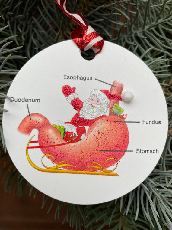 Santa Stomach Ornament – Gastroenterologist Gift, Medical Christmas Decor