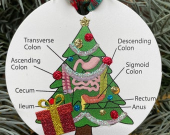 COLON-Lower G.I./gastroenterologist/colonoscopy ornament/doctor/nurse/Holiday Medical Ornaments for Care teams